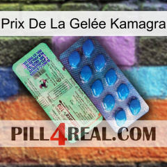 Prix De La Gelée Kamagra new02
